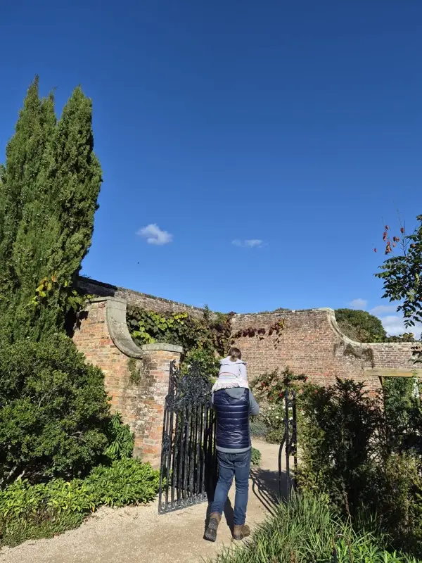 About us - maisy and dadda