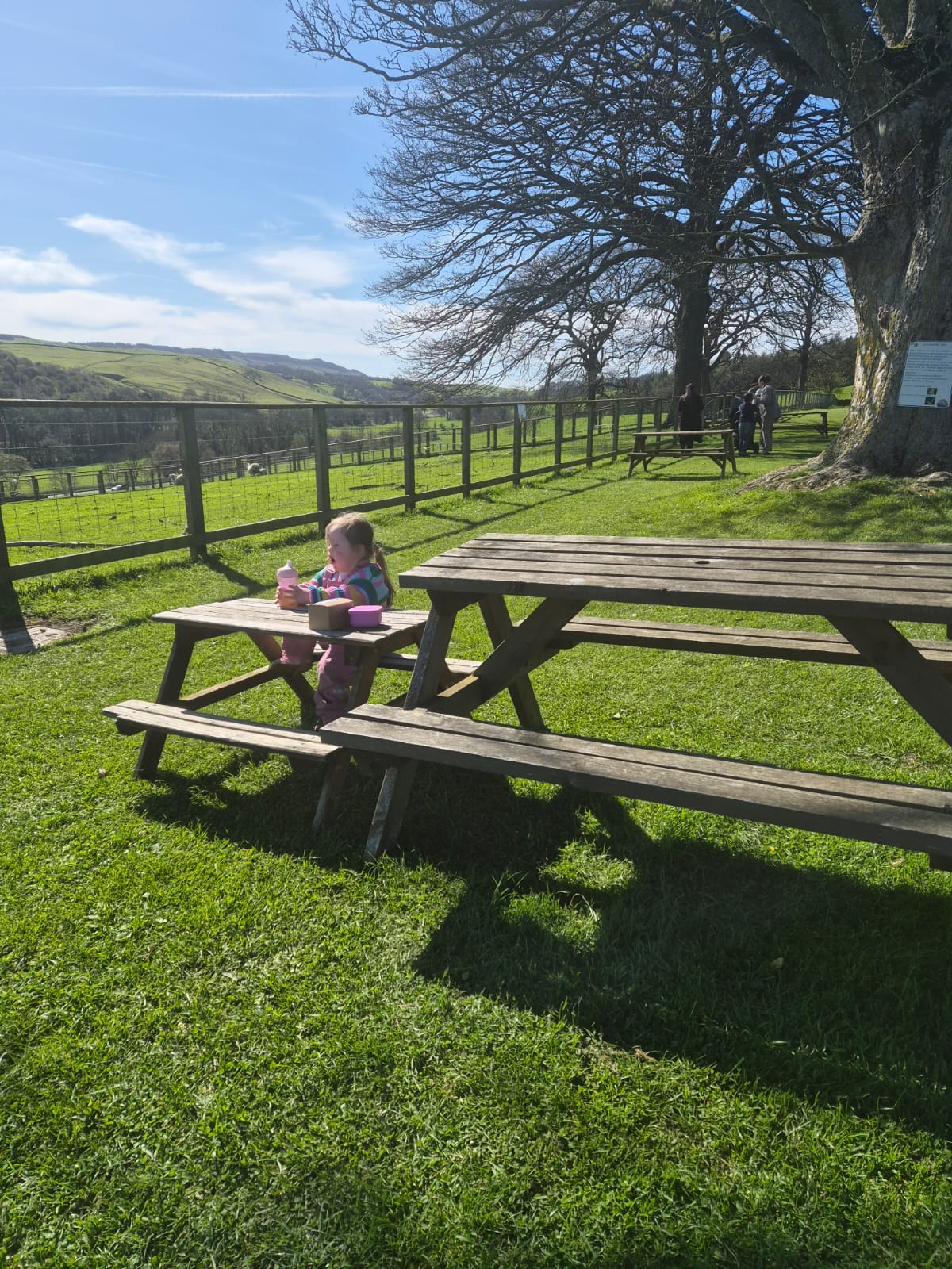 toddler with down syndrome sitting at a park bench enjoying juice